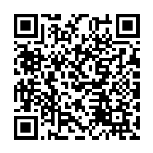 在发条qw二连和大嘴e技能配合大招的疯狂aoe输出下二维码生成