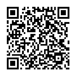 在另一边的射手圣骑顿时一把抓住了龙王的手臂二维码生成