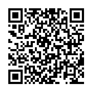 在叮嘱收集队伍的时候花生也是其中的一个要注意的二维码生成