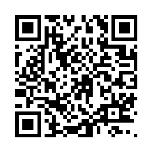 在各个不同的场合表达过对金镛作品的向往二维码生成