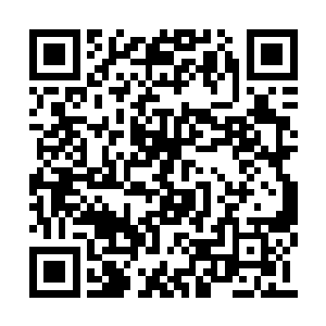 在吸收了吴岩的大五行诛仙剑阵的所有剑气之后二维码生成