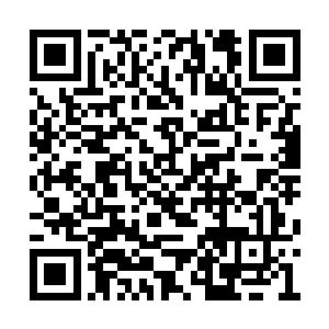 在周老夫人面前大概都没有这位越嬷嬷的面子大二维码生成