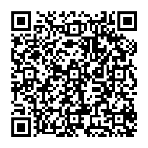 在和安东尼去洗手间的时候已经叮嘱安东尼要找机会对苏雷诺酋长进行诚挚的道歉二维码生成