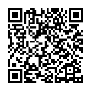在四极之地依旧会偶尔出现一些恐怖的混沌罡风和混沌气流二维码生成