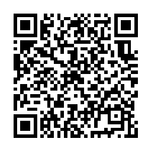 在围攻我们青山书院的四个书院也真是煞有其事二维码生成