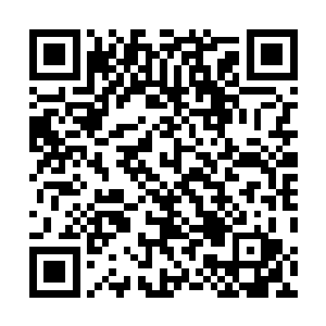在圣贤遗址自然而然会演化出一个和他相似的少年圣者来二维码生成