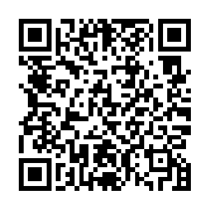 在地上的紫龙原本眩晕的脑袋此刻也是渐渐的清醒了过来二维码生成