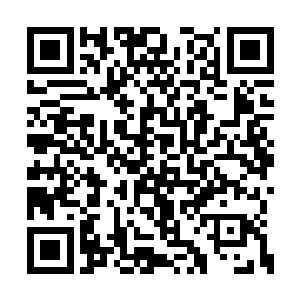 在地下室百草园里长出来的东西绝对都是好东西二维码生成