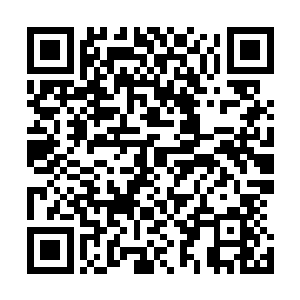 在场三个斩三尸境界的虫族便在同一时间表示了强烈的反对二维码生成