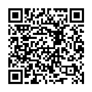 在场众人几乎都被那铺天盖地的能量光束和炮弹所击中二维码生成
