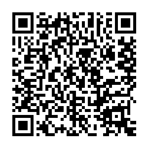 在场另外四人都清楚看到严默用手术刀割去原河断臂处的腐坏血肉二维码生成