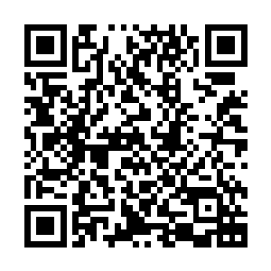在场的所有人心里却都早已经给这场比试下了属于自己的判断二维码生成
