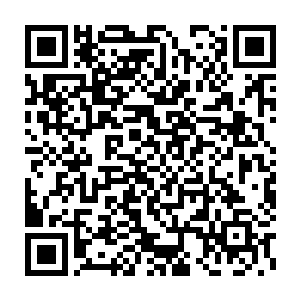 在外界正在询问着若相离那真骨魔情况的雪如楼却是突然脸色一白二维码生成