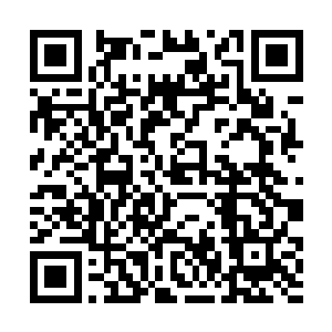 在外院的那几位年轻人也是好奇的朝着内院这边走来二维码生成