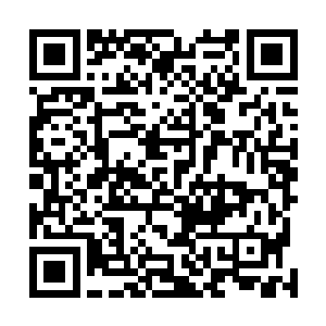 在外面不得跟媒体记者和其他人谈论赛琳娜和那个人的事二维码生成