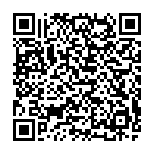 在外面几乎到处都有的黏液在这洞里除了入口处其他地方竟都是干燥结实的泥土二维码生成