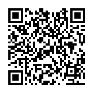 在夜明珠的照耀下隐隐约约能看到里面流动的血丝二维码生成