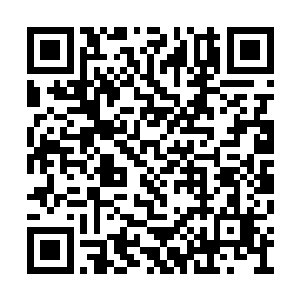 在夜染看来这少女就是一典型的没长大的小屁孩二维码生成