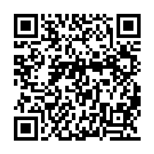 在夜色中贴着山峦走势快速飞向城东方向的山林二维码生成