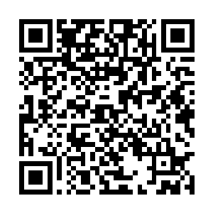 在大灾变的前夕喝下了由候鸟议会提供的特殊迷药二维码生成