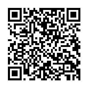 在天相居的环境和五相剑的增幅以及剑法修炼和丹药的辅助下二维码生成
