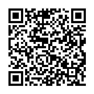 在太阳下山之前找处山洞度过夜晚――她记得宋二维码生成