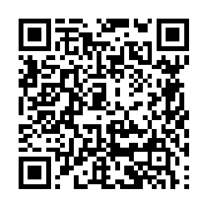 在她印象中无所不知无所不能的师父才会有些无奈二维码生成