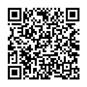 在她的心里九九长老甚至比自己的母亲都要亲近二维码生成