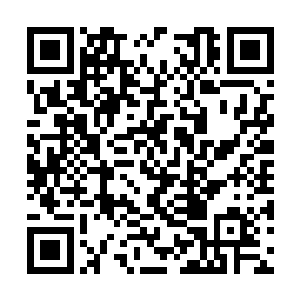在她的视野中看到如今已经没剩下几个圣级大修士二维码生成