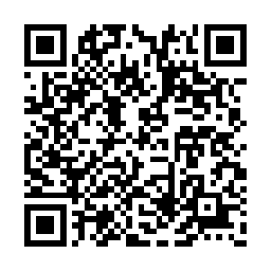 在她看到几个幼年的皇子皇女也倒在地上的时候二维码生成