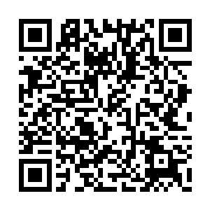 在好似人类壮汉的银血妖族索超龙身上扫了一圈二维码生成