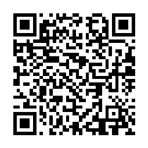 在孙子轩没有学会如同使用元气进行淬炼灵草的时候二维码生成