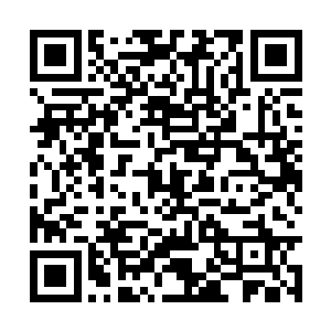 在学宫内更是要高达十五万学分才可以换取到一枚二维码生成