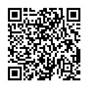 在学校的工作当中叶秋可以更好的观察有没有杀手混入到学校二维码生成