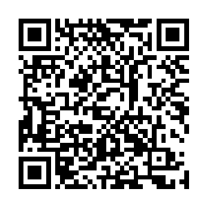 在宁海又开设了三家分店……总店这边由温怡这个总厨坐镇二维码生成