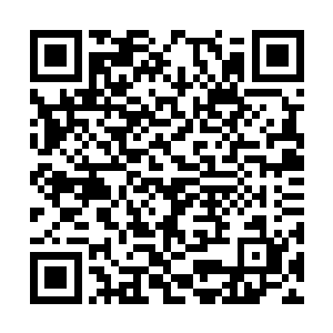 在宝库之中根本就没有找到半件对自己有用的东西二维码生成