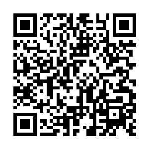 在对至关重要的腰胯连接部位提供足够保护的同时二维码生成