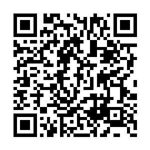 在小女孩的手里面则是出现了一个如玉一般的盆二维码生成