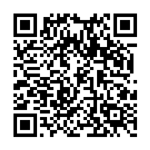 在小招待所吃饭的时候和一个女服务员看对了眼二维码生成