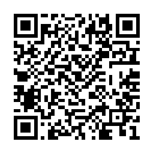 在小胖子和黑发青年旁边是一个年轻白领和一个二维码生成