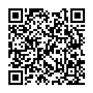 在小队作战方面远胜一群没有经过正规训练的海盗二维码生成