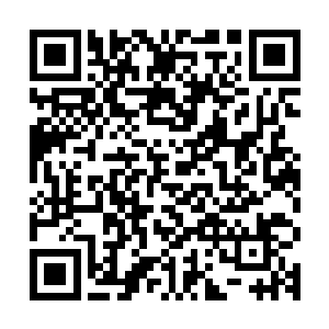在岛上建立一处供往来妖魔海参加猎海大战的人族修士的补给站二维码生成