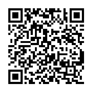 在市场里宰杀分割的部分海产品的血水内脏……二维码生成