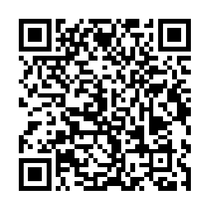 在干尸朝那个没有受到琴声很大影响的封王级冲去时二维码生成