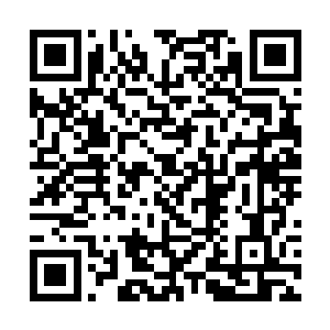 在平叛过程中他发现了广西狼兵这一可怕的战斗兵种二维码生成