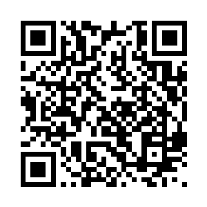 在年初宣布夏宇和高媛媛担任男女主角二维码生成