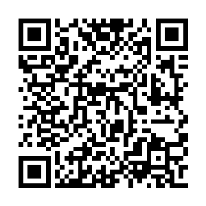 在座同学们已经基本摸熟了这位金梁老师的脾气二维码生成