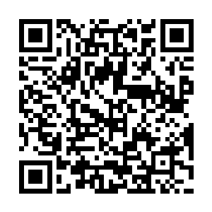 在座的各位都zhidào我们四大超级家族来到星海之后的策略二维码生成