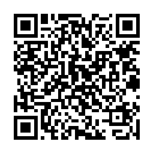 在张铁分别赠送了这些人一人一瓶那种特殊溶液之后二维码生成