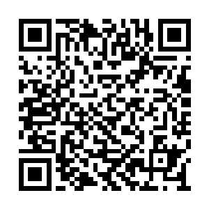 在很多世界当中都可以听到它们互相争斗的传说二维码生成